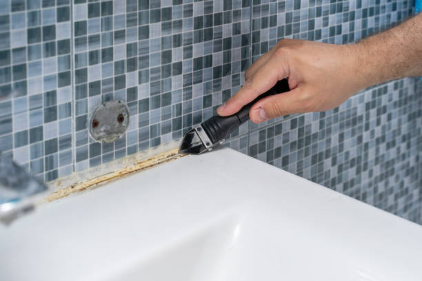 Best Post-Flood Mold Remediation in Lonsdale, MN